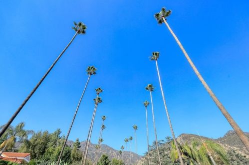 2222 Mendocino Ln, Altadena CA  91001-2816 exterior