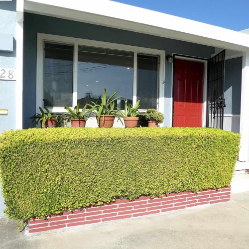 16128 Via Del Robles, San Lorenzo, CA 94580-2208