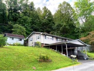 320 Albemarle Ave, Erwin, TN 37650-1315