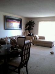 204 Cypress Ln, Oldsmar FL  34677-2125 exterior