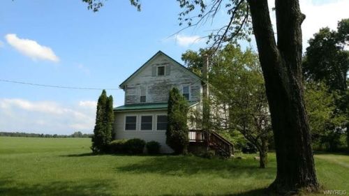 10320 Freeman Rd, Medina, NY 14103-9574