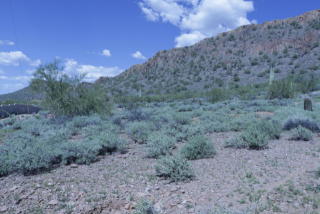 42200 10th St, Phoenix AZ  85086-0900 exterior