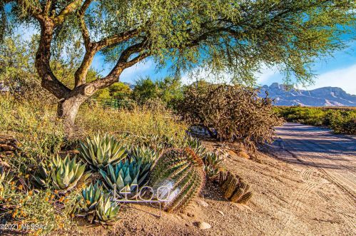 14700 Desert Sage Ln, Tucson, AZ 85739-5104