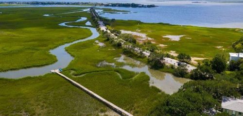 1463 Goblet Ave, Mount Pleasant SC  29464-4831 exterior