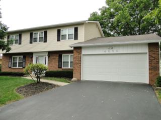4869 Mcbane St, Columbus, OH 43220-3177