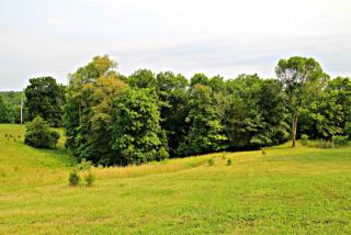 454 Pea Ridge Rd, Waddy, KY 40076-6154