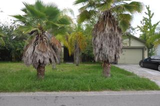 5046 Red Bay Dr, Orlando, FL 32829-8729