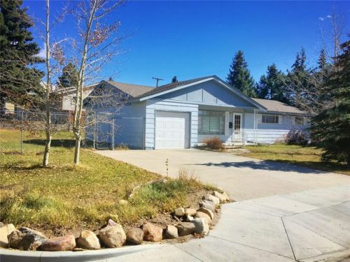 1105 Mount Massive Dr, Leadville, CO 80461-3444