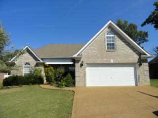 4812 Forsman Ct, Murfreesboro, TN 37128-3868