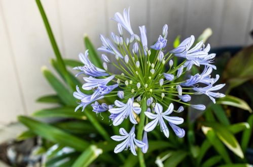 621 Del Oro St, Woodland CA  95695-5040 exterior