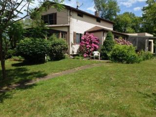 219 Pennsylvania Ave, South Apalachin NY  13732-2502 exterior