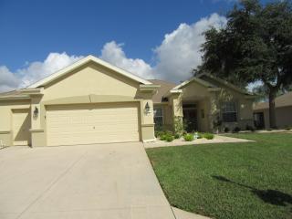 12133 91st Ter, Summerfield, FL 34491-9489