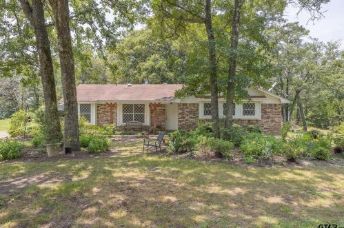 1319 An County Road 355, Palestine, TX 75801-2492