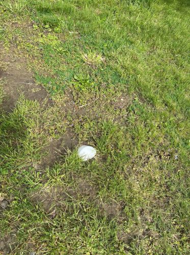 630 Josiah Morris Rd, London OH  43140-9344 exterior