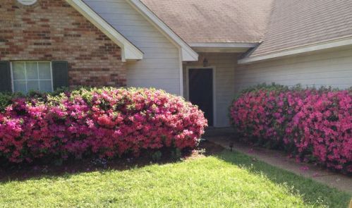 321 Planters Grv, Ridgeland, MS 39157-2010