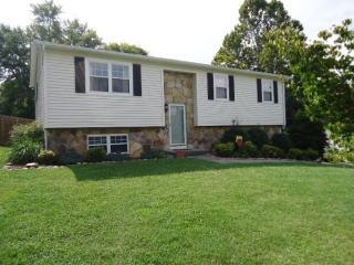 1325 Windamere Rd, Knoxville, TN 37923-1987