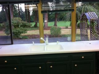 14823 172nd Pl, Seattle WA  98058-8806 exterior