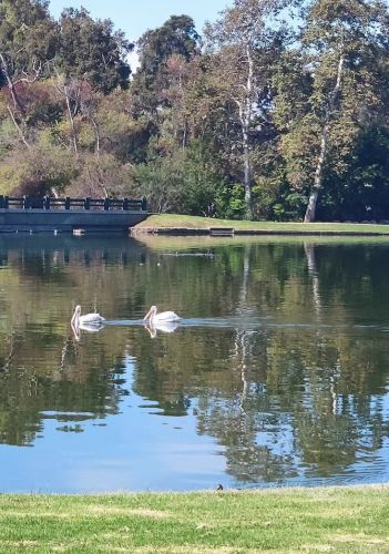 8 Arboles, Irvine CA 92612-2626 exterior