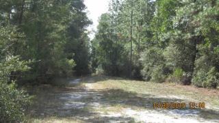 122 Camden St, Georgetown, FL 32139-0022