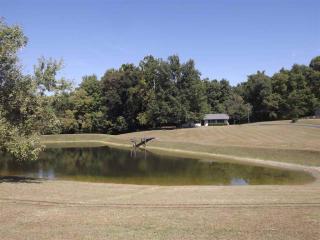 4536 Drummonds Rd, Drummonds, TN 38023-6808