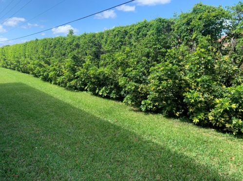 490 Normandy K, Delray Beach, FL 33484-4818