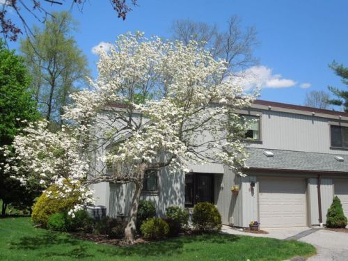230 Heritage Hls, Somers Town, NY 10589-1424
