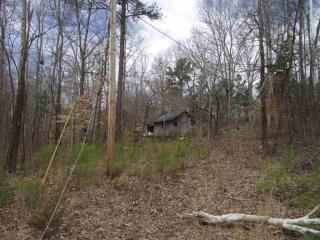 4358 Michie Pebble Hill Rd, Michie, TN 38357-5400