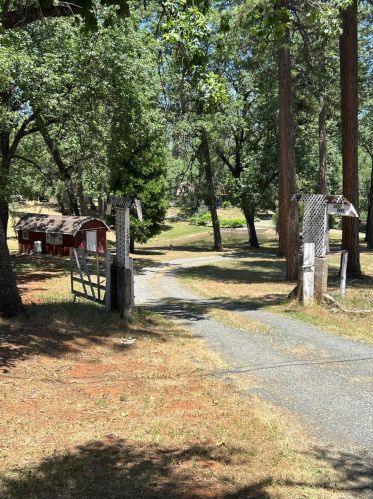 16802 Kozy Nest Ct, Lake Wildwood, CA 95946-9622