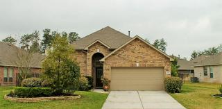 99 Lasting Spring Cir, Spring TX  77389-4306 exterior