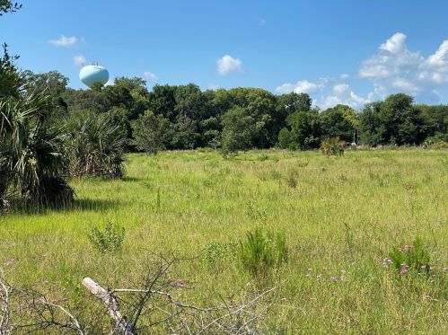 123 2nd Ave, Pierson, FL 32180-2367