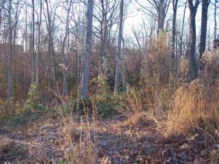 341 Wild Azalea Dr, Inman, SC 29349-7020