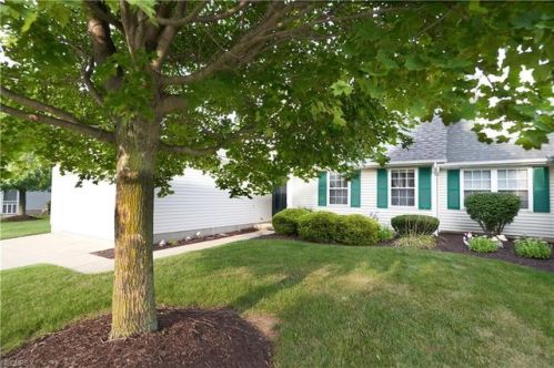 3969 Londonderry Ln, Medina, OH 44256-7038