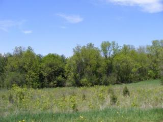 6834 Horseshoe Trl, Lyons, WI 53105-9380