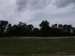 61 Alexandrea Dr, Mcgintytown, AR 72058-8909