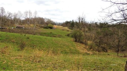 23476 Lightner Rd, Guysville, OH 45735-9482
