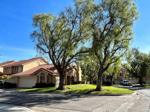 19008 Canyon Circle Dr, Trabuco Canyon, CA 92679-1043