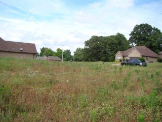 305 Chronicles Dr, Medina, TN 38355-8821
