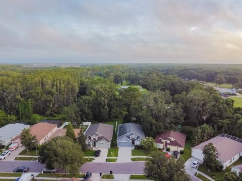 19537 Ardwick Way, Land O Lakes, FL 34638-8056