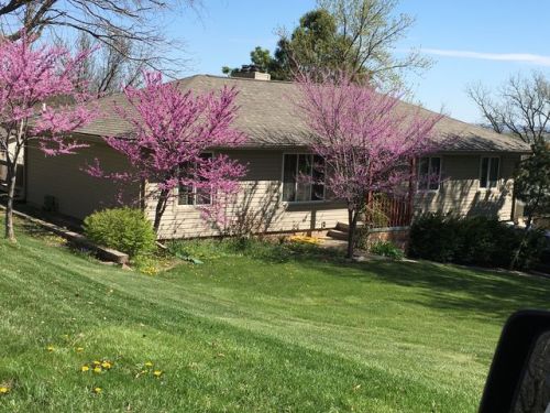 2316 Elm Dr, Blair, NE 68008-1856
