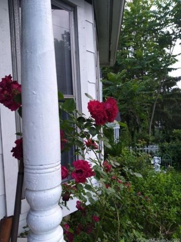 18 Simsbury St, Waterbury CT  06704-2719 exterior