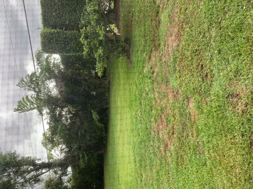 202 Maplewood Dr, West Palm Beach, FL 33415-1458