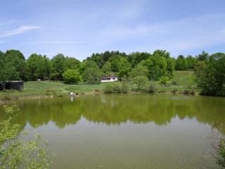 267 Miller Rd, Summit, NY 12175-2312