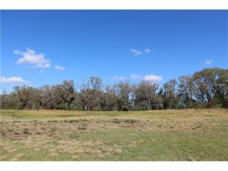 10920 Brice Tree Ct, Lithia, FL 33547-3000