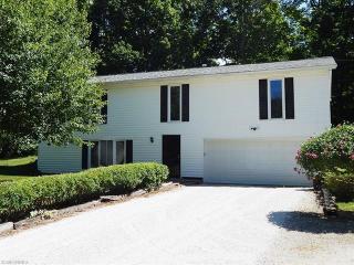6303 River Styx Rd, Medina, OH 44256-9785