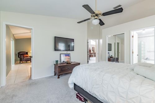 3664 Darston St, Palm Harbor FL  34685-1182 exterior