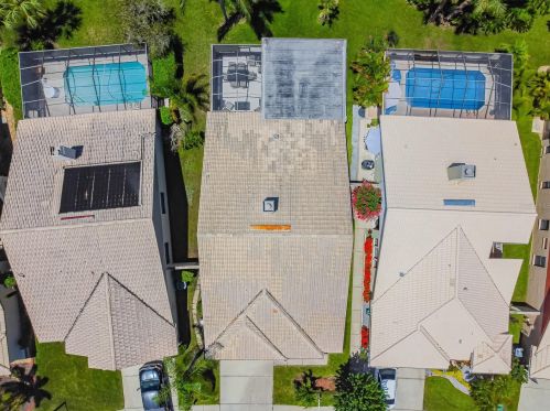 3664 Darston St, Palm Harbor FL  34685-1182 exterior