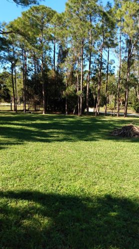 14691 60th St, Town Of Loxahatchee Groves FL  33470-4565 exterior