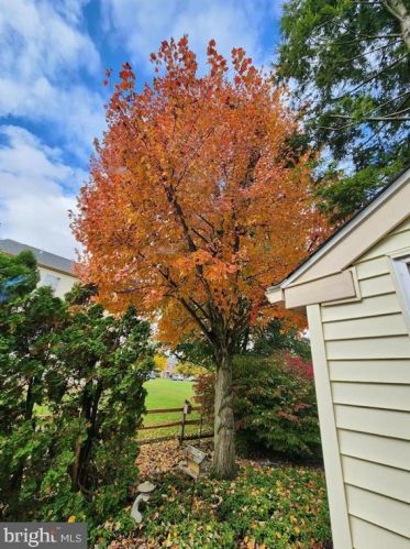 230 Goshen Rd, Collegeville, PA 19473-2206
