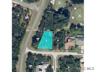 1 Knotwood Ln, Homosassa, FL 34446-3554