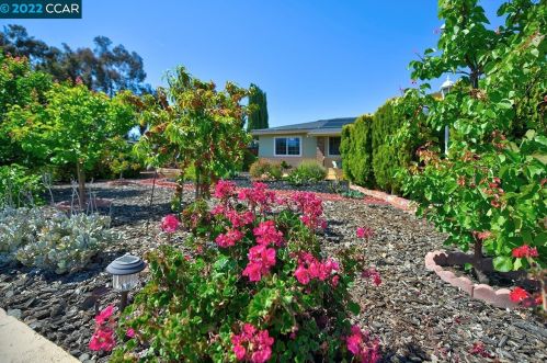 1401 Kansas Cir, Concord, CA 94521-4616